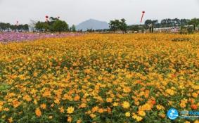 2018北京赏花攻略花期+地点+交通