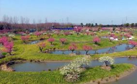 2018上海金山田野百花节门票价格+时间+地址