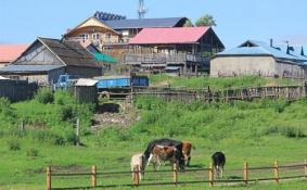 室韦俄罗斯民族乡住宿推荐 室韦俄罗斯民族乡住在哪里